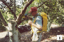 Backpack Tree Injector