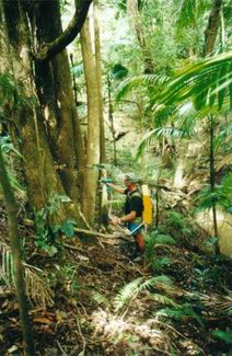 Herbicide Backpack Tree Injector