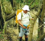 Feral Tree Control