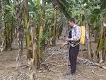 Banana Backpack Spear Injector