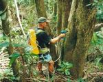 Herbicide Backpack Tree Injector